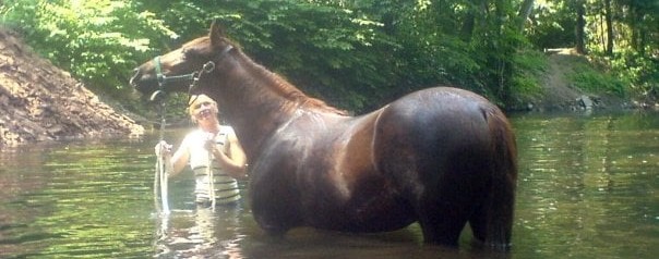 Passionate Way Horsemanship